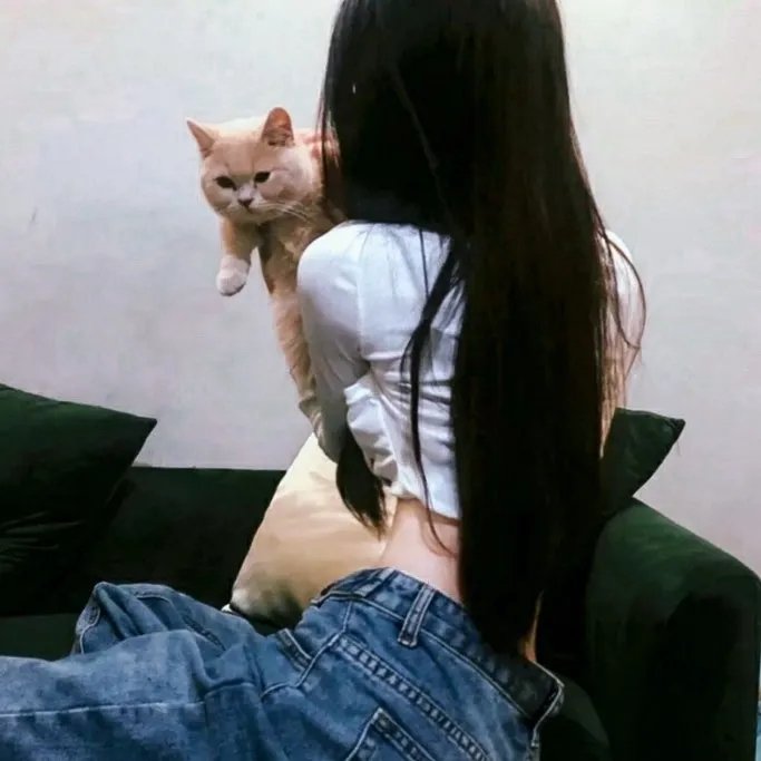 女王蜂游戏